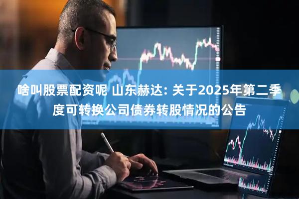 啥叫股票配资呢 山东赫达: 关于2025年第二季度可转换公司债券转股情况的公告