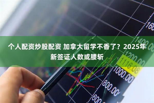 个人配资炒股配资 加拿大留学不香了？2025年新签证人数或腰斩